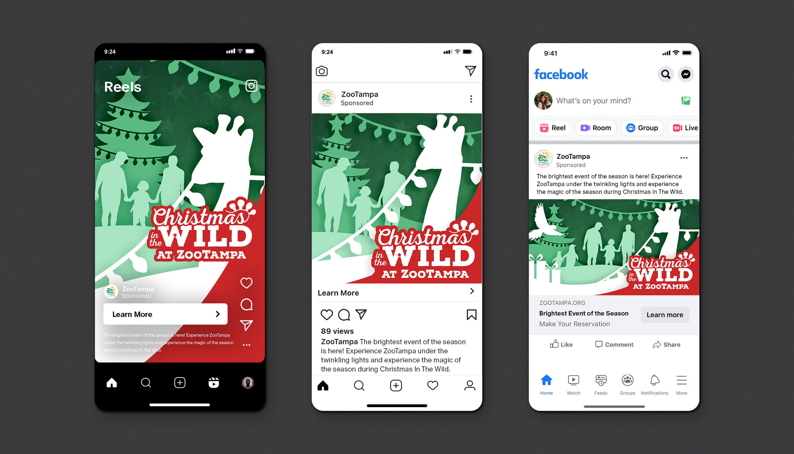 Tampa Bay Lighting: Tampa Airport Tram