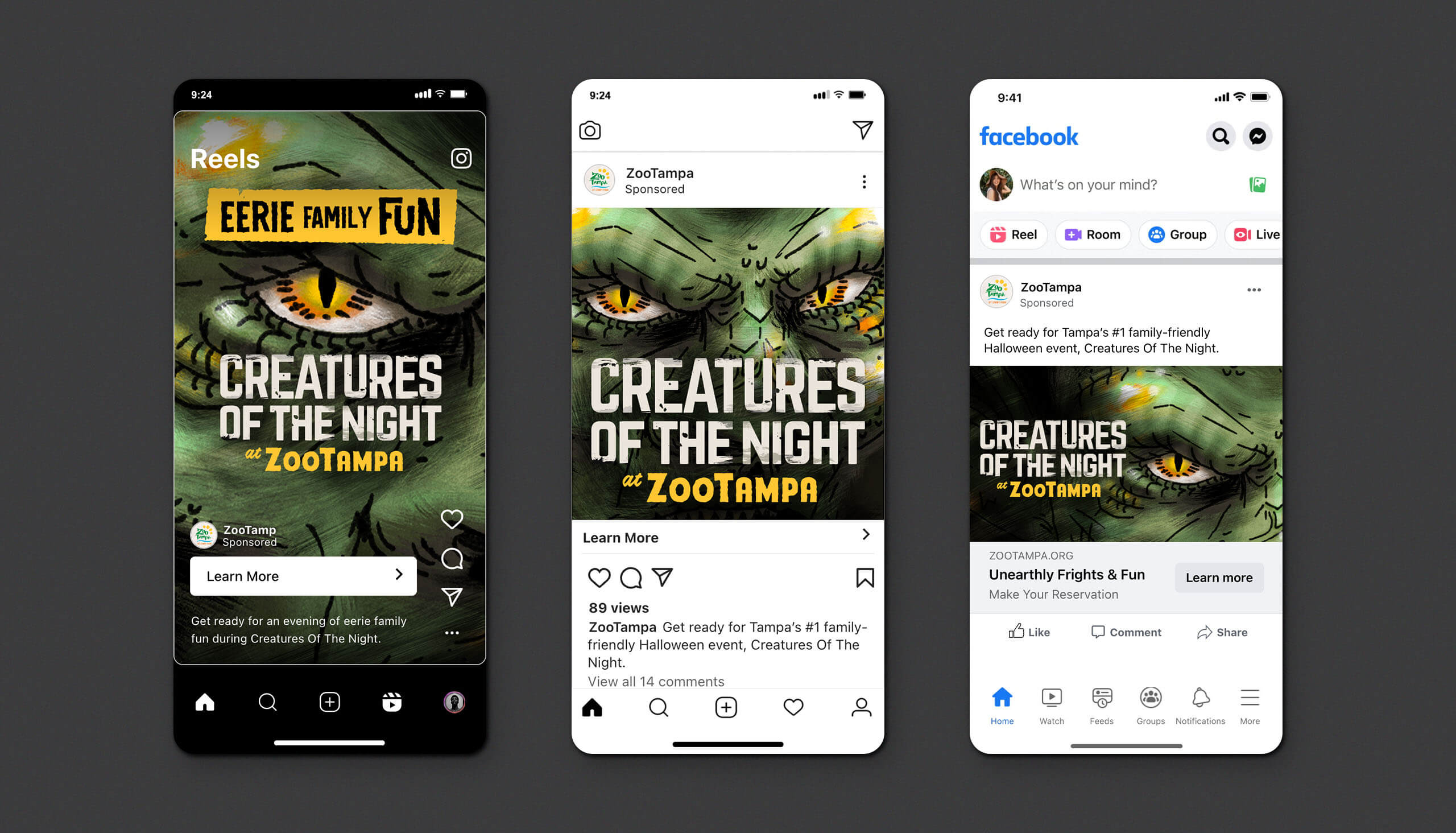 Tampa Bay Lighting: Tampa Airport Tram